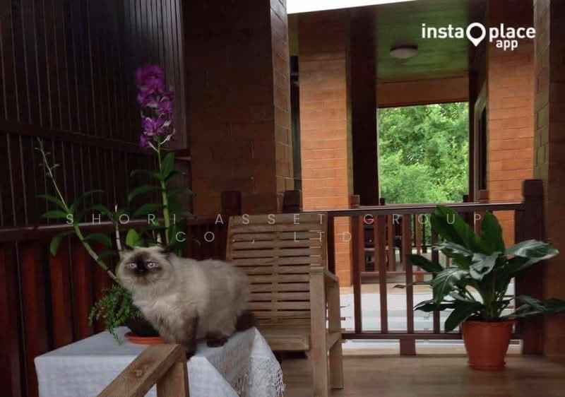 Baan Wang Tan : บ้าน วัง ตาล, เชียงใหม่, แม่เหียะ, เมืองเชียงใหม่, เชียงใหม่, 348 ตร.ม., บ้านเดี่ยว ให้เช่า, โดย Shori Asset Group Co., Ltd., 500264382 - DDproperty.com