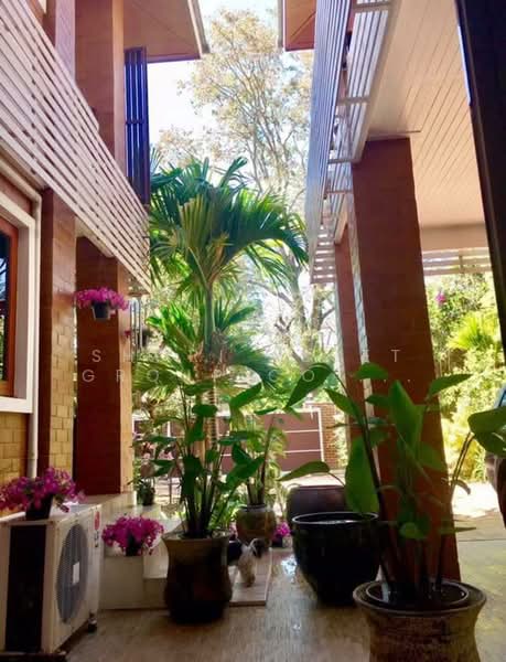 Baan Wang Tan : บ้าน วัง ตาล, เชียงใหม่, แม่เหียะ, เมืองเชียงใหม่, เชียงใหม่, 348 ตร.ม., บ้านเดี่ยว ให้เช่า, โดย Shori Asset Group Co., Ltd., 500264382 - DDproperty.com