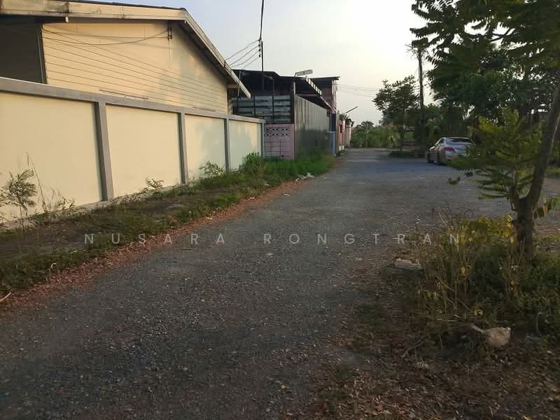 บ้าน 5-ห้องนอน, กรุงเทพ, บางไผ่, บางแค, กรุงเทพ, 377 ตร.ม., บ้านเดี่ยว ให้เช่า, โดย Nusara Rongtran, 500264458 - DDproperty.com