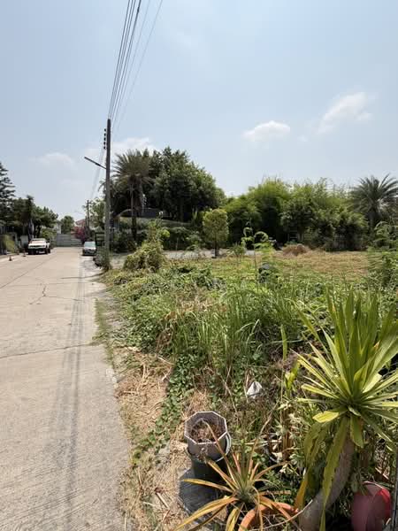 ขายที่ดิน เมืองทองธานี ใกล้ทะเลสาบเมืองทองธานี, นนทบุรี, บ้านใหม่, ปากเกร็ด, นนทบุรี, 300 ตร.ม., ที่ดิน ขาย, โดย Pakinai Sirikhan, 500264531 - DDproperty.com