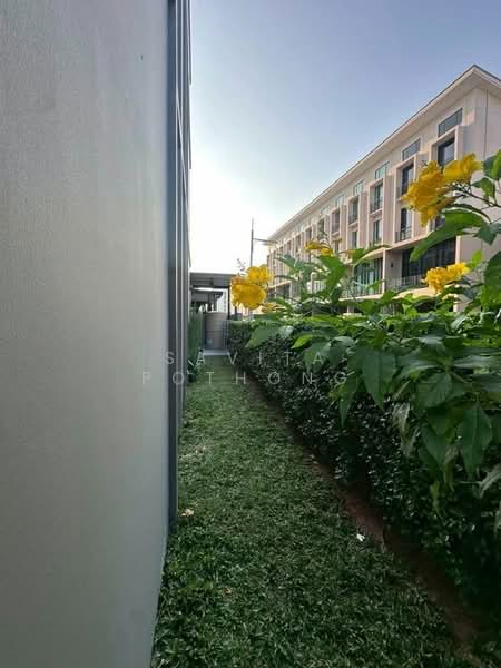 Patio Ratchayothin, Bangkok, Phahonyothin 32, Chan Kasem, Chatuchak, Bangkok, 3 Bedrooms, 267 sqm, Townhouse For Rent, by Savita Pothong, 500264586 - DDproperty.com