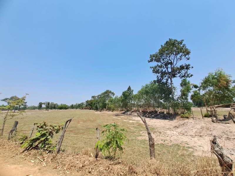 ขาย - ที่ดินสุวรรณภูมิ ร้อยเอ็ด, ร้อยเอ็ด