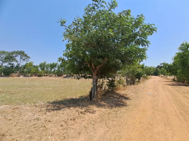 For Sale - ที่ดินสุวรรณภูมิ ร้อยเอ็ด, Roi Et