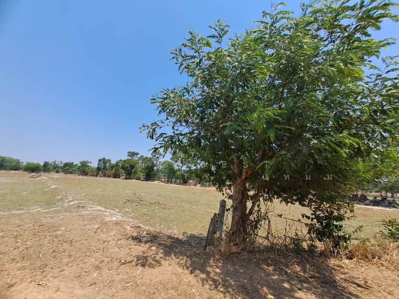ขาย - ที่ดินสุวรรณภูมิ ร้อยเอ็ด, ร้อยเอ็ด