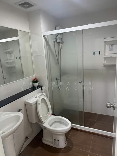 Regent Home Sukhumvit 81, Bangkok, Soi Sukhumvit 81, Suan Luang, Suan Luang, Bangkok, 1 Bedroom, 28 sqm, Condo For Rent, by Praewpakar Soontawong, 500265235 - DDproperty.com