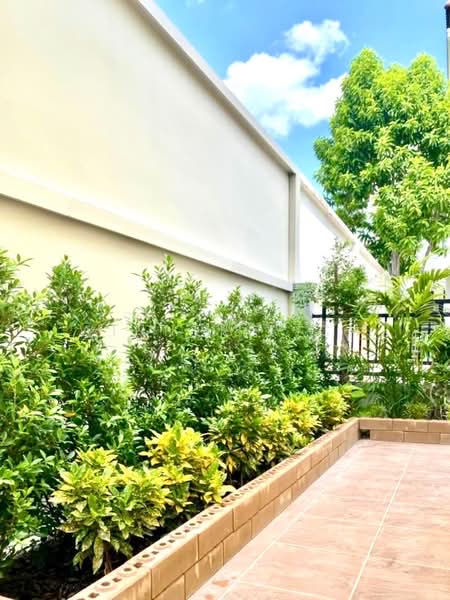 Baan Klang Muang The Royal Monaco Srinakarin-Pattanakarn : บ้านกลางเมือง เดอะรอยัล โมนาโค ศรีนครินทร์-พัฒนาการ, กรุงเทพ, ถนนพระราม 9 ซอย 43, สวนหลวง, สวนหลวง, กรุงเทพ, 260 ตร.ม., ทาวน์เฮ้าส์ ให้เช่า, โดย Winner Rich, 500265296 - DDproperty.com