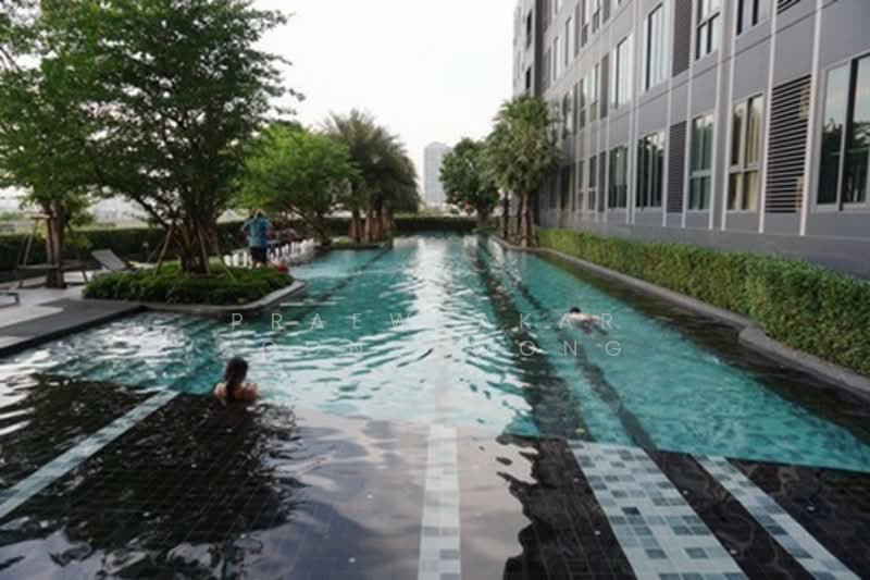 IDEO MOBI Sukhumvit Eastgate, Bangkok, 4371 Sukhumvit Road, Bang Na, Bang Na, Bangkok, 1 Bedroom, 22 sqm, Condo For Rent, by Praewpakar Soontawong, 500265341 - DDproperty.com