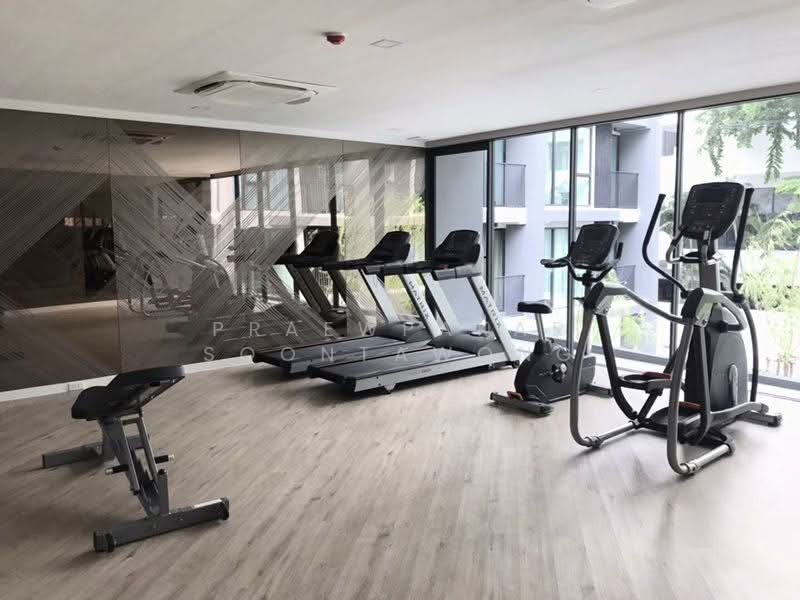 Serio Sukhumvit 50, Bangkok, Soi Sukhumvit 50, Phra Kanong, Khlong Toei, Bangkok, 1 Bedroom, 31 sqm, Condo For Rent, by Praewpakar Soontawong, 500265347 - DDproperty.com