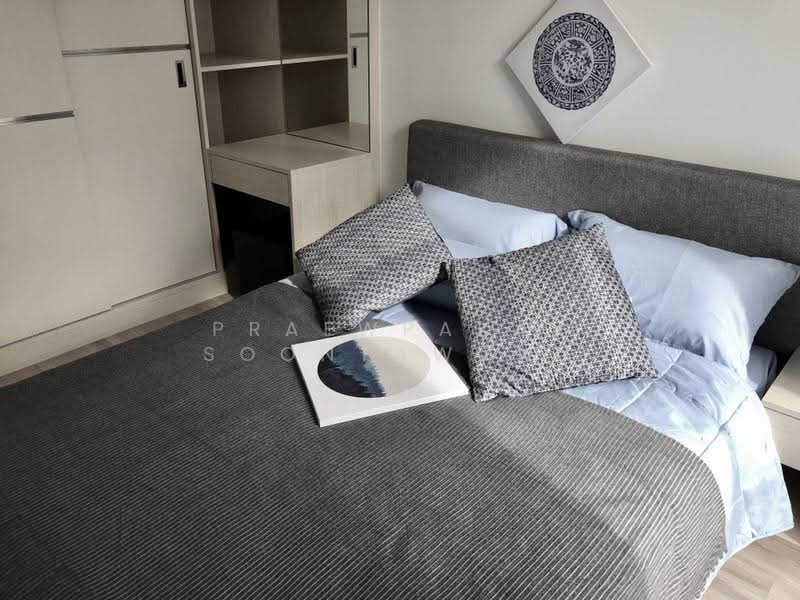 Serio Sukhumvit 50, Bangkok, Soi Sukhumvit 50, Phra Kanong, Khlong Toei, Bangkok, 1 Bedroom, 31 sqm, Condo For Rent, by Praewpakar Soontawong, 500265347 - DDproperty.com