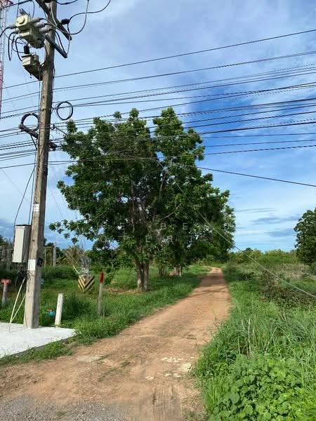 ที่ดินบ่อนอก ประจวบคีรีขันธ์, prachuap-khiri-khan, Bo Nok, Muang Prachaubkirikhan, Prachuap Khiri Khan, , 54,276 sqm, Land For Sale, by The Best Property ไก่, 500265389 - DDproperty.com