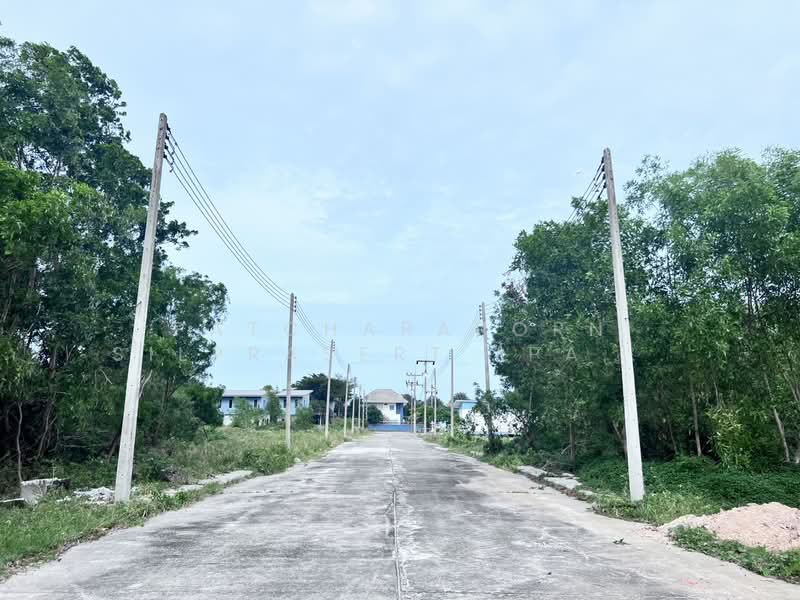 ขายที่ดินเปล่าสวย ทำเลดี เมืองสงขลา ติดทะเล บรรยากาศธรรมชาติ รายล้อมด้วยชุมชน เดินทางสะดวก, songkhla, Ko Taeo, Muang Songkhla, Songkhla, , 6,400 sqm, Land For Sale, by Patcharaporn Silprasert (Patcha), 500265549 - DDproperty.com
