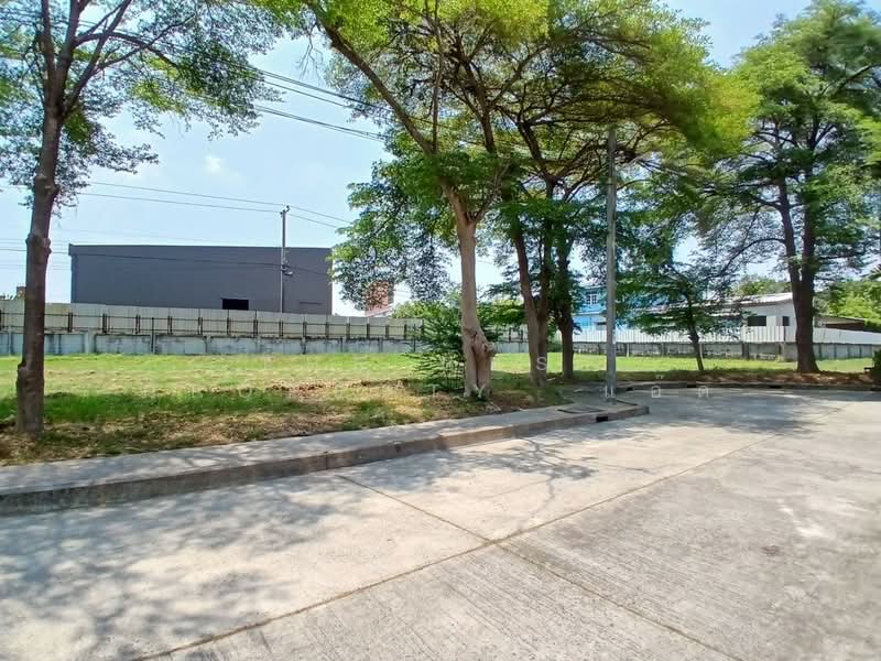 ที่ดินบางพลี สมุทรปราการ, Samut Prakan, Bangphli Yai, Bang Plee, Samut Prakan, , 1,172 sqm, Land For Sale, by The Best Property  แอ๊ด, 500265568 - DDproperty.com