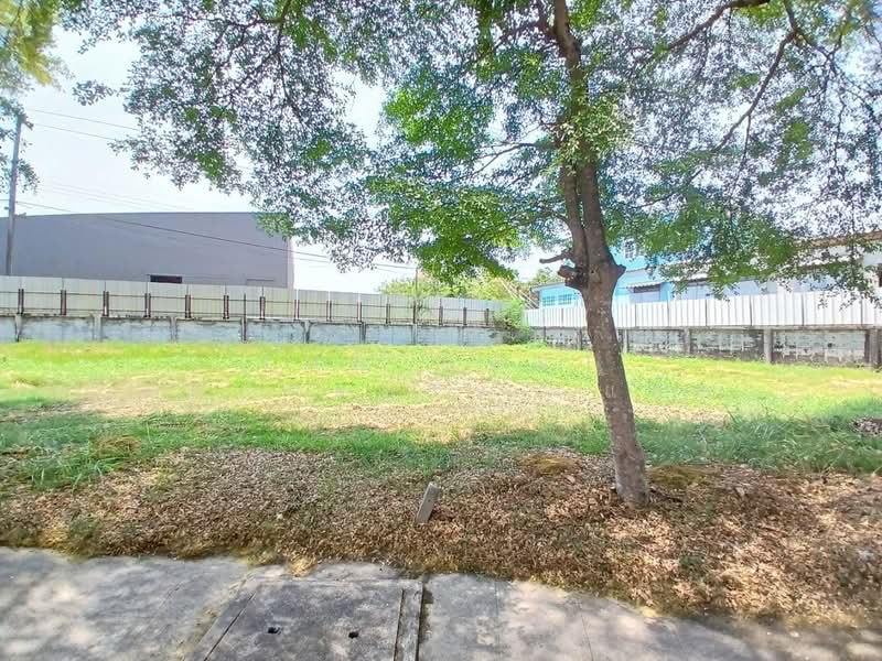 ที่ดินบางพลี สมุทรปราการ, สมุทรปราการ, บางพลีใหญ่, บางพลี, สมุทรปราการ, 1,172 ตร.ม., ที่ดิน ขาย, โดย The Best Property  แอ๊ด, 500265568 - DDproperty.com