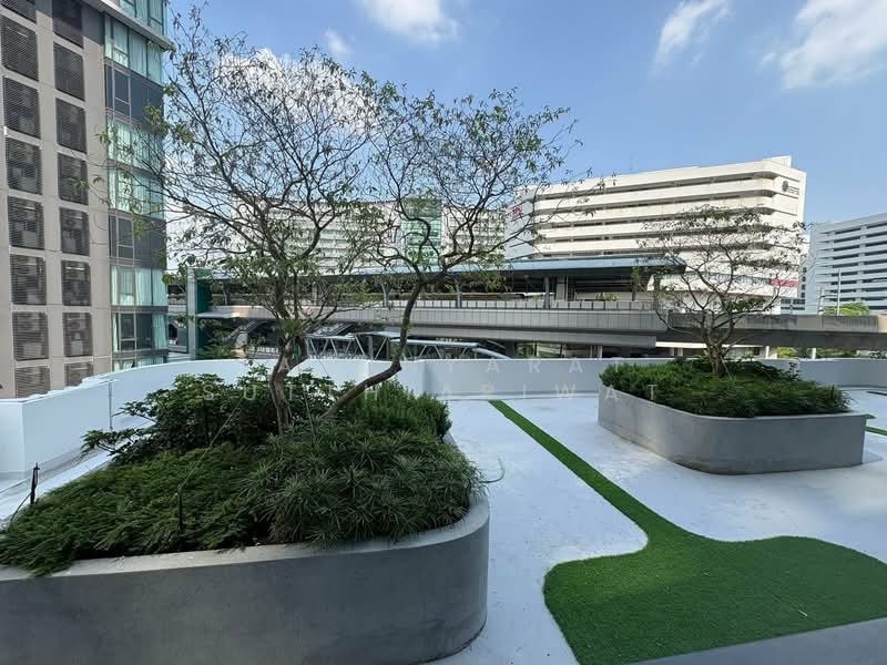 COBE Kaset-Sripatum, Bangkok, Phahon Yothin Rd, Lat Yao, Chatuchak, Bangkok, 1 Bedroom, 37 sqm, Condo For Rent, by Sarunyarat Sutthiapiwat, 500265998 - DDproperty.com