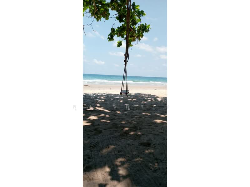 ขายที่ดิน เนื้อที่ 4 ไร่ ในทำเลทอง 500 เมตร ถึงหาดทรายเเม่รำพึง (ก้นอ่าว) โฉนดครุฑเเดง นส4จ พร้อมโอน, Rayong, Phe, Muang Rayong, Rayong, , 6,400 sqm, Land For Sale, by คุณ วิญากร, 500266116 - DDproperty.com