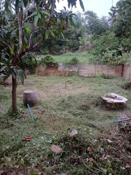 บ้านเดี่ยวเทิง เชียงราย, Chiang Rai, Wiang, Thoeng, Chiang Rai, 1 Bedroom, 120 sqm, Single Detached House For Sale, by The Best Property ไนล์, 500266174 - DDproperty.com