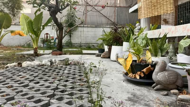 บ้าน 3-ห้องนอน, กรุงเทพ, บางจาก, พระโขนง, กรุงเทพ, 100 ตร.ม., บ้านเดี่ยว ให้เช่า, โดย Tarit Chinsomboon, 500266178 - DDproperty.com