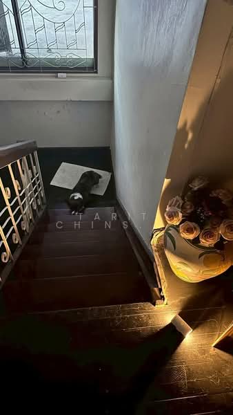 3-BR House, Bangkok, Bang Chak, Phra Khanong, Bangkok, 3 Bedrooms, 100 sqm, Single Detached House For Rent, by Tarit Chinsomboon, 500266178 - DDproperty.com