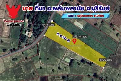 ขาย - ขายด่วน ที่ดินที่นา 8 ไร่ 3 งาน 70 ตรว. ติดถนนลาดยาง โฉนดครุฑเเดงพร้อมโอน, บุรีรัมย์