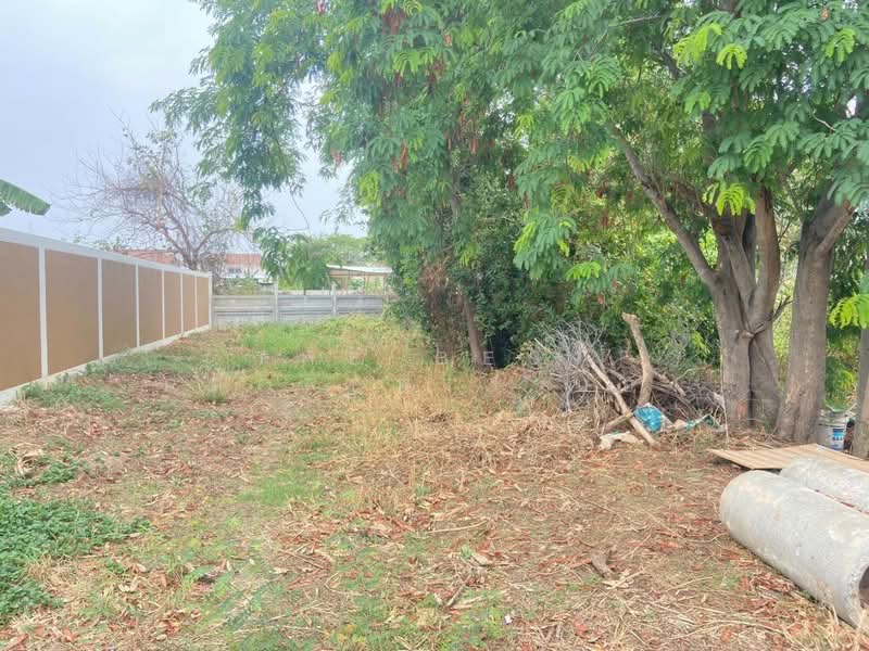 ที่ดินเหนือเมือง ร้อยเอ็ด, Roi Et, Nua Muang, Muang Roi Et, Roi Et, , 456 sqm, Land For Sale, by The Best Property น้อง, 500266339 - DDproperty.com