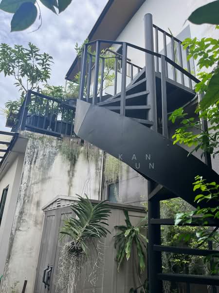 AQ ARBOR Suanluang Rama 9-Pattanakarn : เอคิว อาร์เบอร์ สวนหลวง ร.9-พัฒนาการ, กรุงเทพ, ถนนเฉลิมพระเกียรติรัชกาลที่9 ซอย 48, ดอกไม้, ประเวศ, กรุงเทพ, 350 ตร.ม., บ้านเดี่ยว ขาย, โดย Rungkan Wijitjun, 500266412 - DDproperty.com