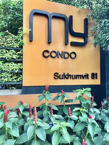 My Condo Sukhumvit 81 : มายคอนโด สุขุมวิท81, กรุงเทพ, ซอยสุขุมวิท 81 ถนนสุขุมวิท, บางจาก, พระโขนง, กรุงเทพ, 35 ตร.ม., คอนโด ขาย, โดย บจ.แอเรีย66 เรียล เอสเตท จำกัด, 500266529 - DDproperty.com