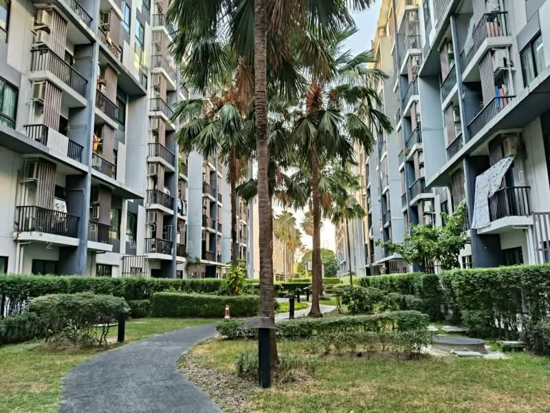 iCondo Sukhapiban 2, Bangkok, 227 Seri Thai Road, Khlong Kum, Bueng Kum, Bangkok, 1 Bedroom, 30 sqm, Condo For Sale, by คุณศร, 500266563 - DDproperty.com