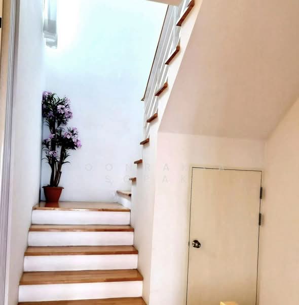 Ban Klang Mueng Ratchada 36, Bangkok, Soi Ratchada 36, Chan Kasem, Chatuchak, Bangkok, 4 Bedrooms, 200 sqm, Townhouse For Rent, by Boonraksa Sopak, 500266720 - DDproperty.com