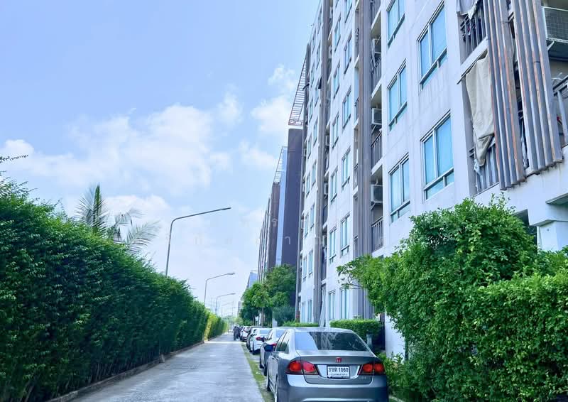 Iris Avenue Onnuch-Suvarnabhumi, Bangkok, Lat Krabang Road, Lat Krabang, Lat Krabang, Bangkok, 1 Bedroom, 28 sqm, Condo For Sale, by ภัทรพล ศรีกัลยาณบุตร, 500266996 - DDproperty.com