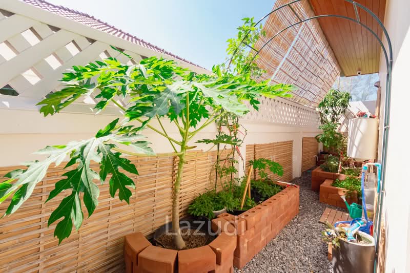 Natural Hill 2, Prachuap Khiri Khan, Hin Lek Fai, Hua Hin, Prachuap Khiri Khan, 3 Bedrooms, 400 sqm, Villa For Sale, by Apisit Junlao, 500267040 - DDproperty.com