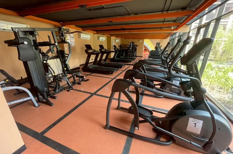 ขาย - Oneder Kaset Condo : วันเดอร์ เกษตร คอนโด, กรุงเทพ