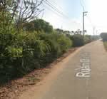 ขายที่ดินสนามบินเกาะจันทร์ ท่าบุญมี 35 ไร่ ซอยร่วมใจ1 ใกล้แยกเกาะโพธิ์6กม., ชลบุรี