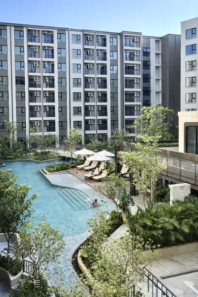 The Origin Kathu-Patong, Phuket, Phra Phuket Kaeo Rd, Kathu, Kathu, Phuket, 1 Bedroom, 25 sqm, Condo For Rent, by Prime Global Asset Co.,Ltd, 500267151 - DDproperty.com