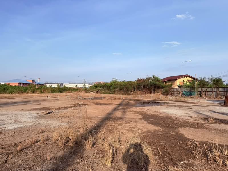 Land for sale, light purple zone, old house area, 4 rai, Amata Phase 6, frontage on 2 roads, Chon Buri (Pattaya), Ban Khao, Phan Thong, Chon Buri (Pattaya), , 7,432 sqm, Land For Sale, by richwellinter, 500267182 - DDproperty.com