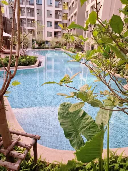 The Origin Kathu-Patong, Phuket, Phra Phuket Kaeo Rd, Kathu, Kathu, Phuket, 2 Bedrooms, 39 sqm, Condo For Rent, by Min Prime, 500267229 - DDproperty.com