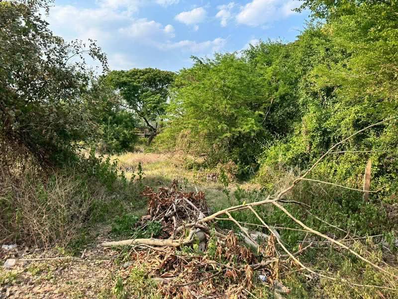 ขายที่ดินทำเลทอง กลางเมืองอุดรธานี 1 ไร่ 1 งาน 42 ตร.ว, อุดรธานี, หมากแข้ง, เมืองอุดรธานี, อุดรธานี, 2,168 ตร.ม., ที่ดิน ขาย, โดย ERA Thailand, 500267381 - DDproperty.com