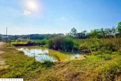 ขาย - ที่ดินสันทราย 3 ไร่ 253 ตร.ว. เชียงใหม่ ใกล้มหาวิทยาลัยแม่โจ้ WR-055215, เชียงใหม่