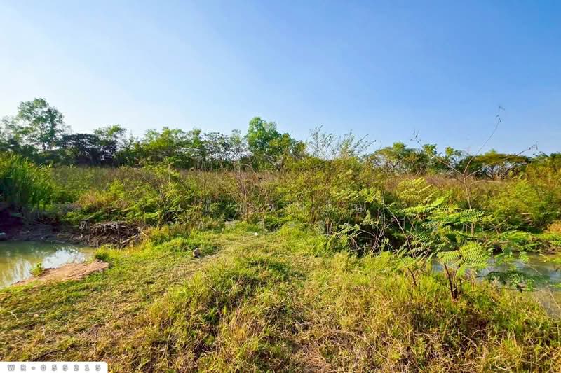 Land for sale in San Sai, Chiang Mai, 3 rai, 253 sq.wa., near Maejo University. WR-055215, Chiang Mai, Nong Harn, San Sai, Chiang Mai, , 5,812 sqm, Land For Sale, by Benchawarin Pakkawetppisit, 500267398 - DDproperty.com