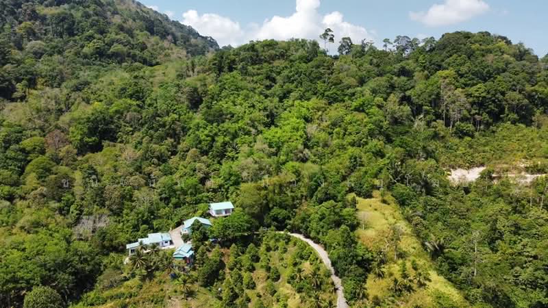 4 rai Land Plot in Patong Phuket for Sea View Villa Project, Phuket, พระบารมี, Patong, Kathu, Phuket, , 6,492 sqm, Land For Sale, by Chanitnun Mewongukote, 500267438 - DDproperty.com