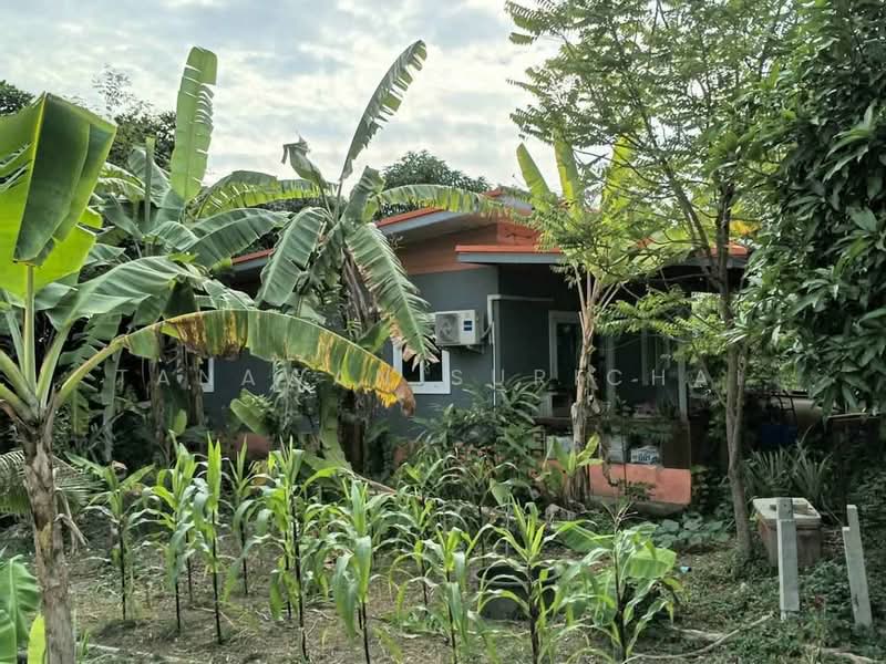 2-BR House, Chon Buri (Pattaya), Sattahip, Sattahip, Chon Buri (Pattaya), 2 Bedrooms, 93 sqm, Single Detached House For Sale, by Tanawan Surichai, 500267492 - DDproperty.com