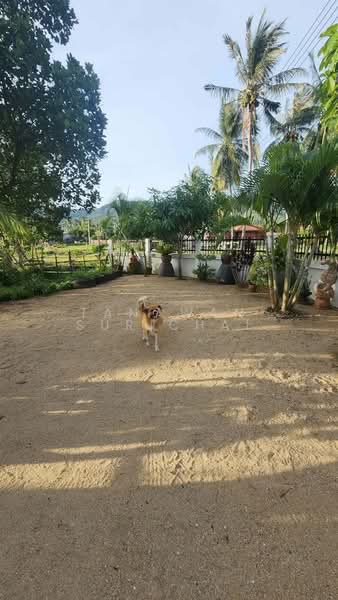 3-BR House, Surat Thani, Nha Mueng, Ko Samui, Surat Thani, 3 Bedrooms, 75 sqm, Single Detached House For Sale, by Tanawan Surichai, 500267538 - DDproperty.com