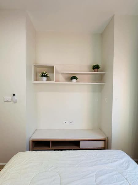 MY Condo Sukhumvit 103, Bangkok, 103 Sukhumvit, Bang Na, Bang Na, Bangkok, 1 Bedroom, 35 sqm, Condo For Rent, by Nattayaporn Peumkul (Benz), 500267694 - DDproperty.com