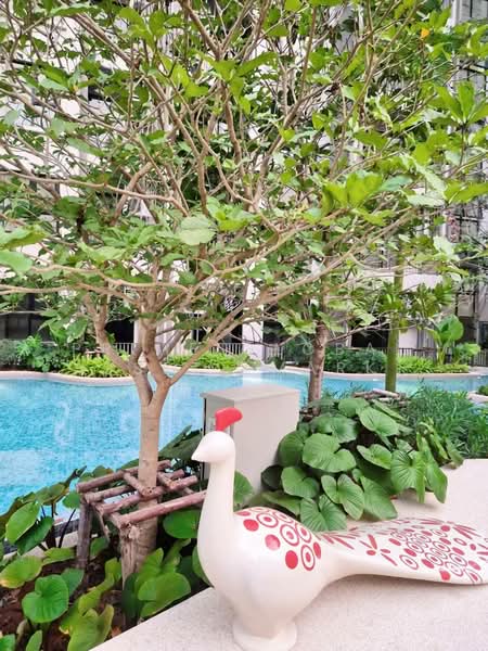 The Origin Kathu-Patong, Phuket, Phra Phuket Kaeo Rd, Kathu, Kathu, Phuket, 2 Bedrooms, 40 sqm, Condo For Rent, by Prime Global Asset (Mark), 500267820 - DDproperty.com