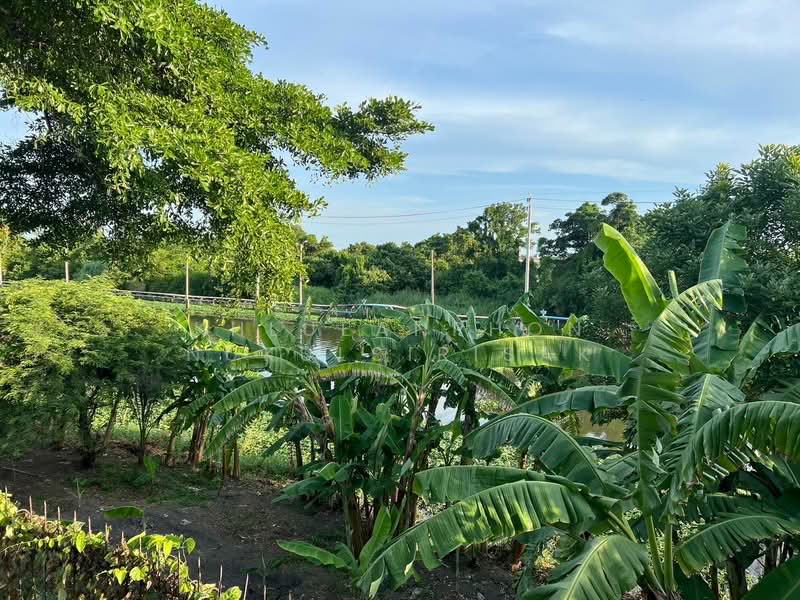 Moobaan Chollada Suvarnabhumi, Samut Prakan, Sri Waree Noi Road, Srisa Chorakhe Noi, Bang Sao Thong, Samut Prakan, 3 Bedrooms, 80 sqm, Single Detached House For Rent, by Khlueanphon Nukulsirisak, 500267830 - DDproperty.com