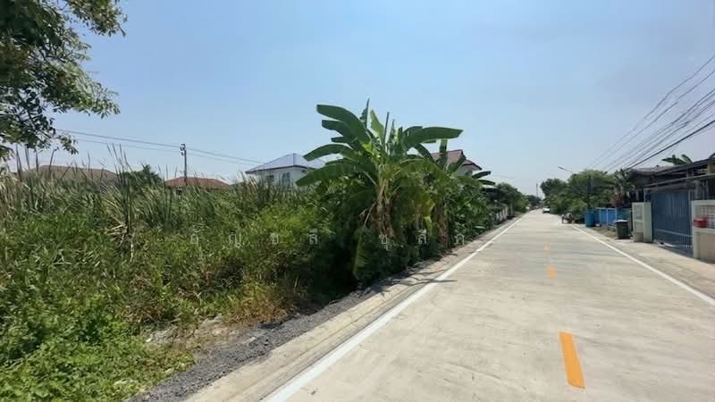 For Sale - ขายที่ดิน 96 ตร.วา ทำเลบางบัวทอง ใกล้ ตลาดสมบัติบุรี, Nonthaburi