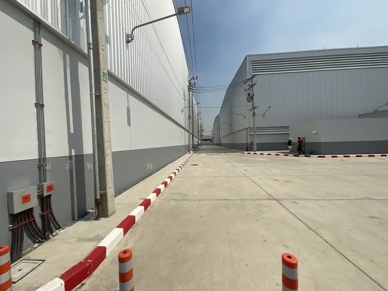 Warehouse for Rent, Phra Pradaeng, 1856 sq.m., Samut Prakan. Newly built warehouse, Pu Chao Saming P, Samut Prakan, Bang Hua Sua, Phra Pra Daeng, Samut Prakan, , 1,856 sqm, Warehouse/Factory For Rent, by ณภัทร พรสิริเมธากุล, 500267895 - DDproperty.com