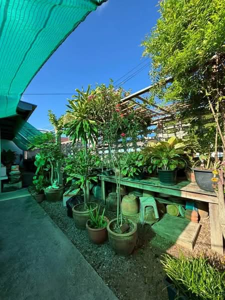 6-BR House, Chon Buri (Pattaya), Nong Pru, Bang Lamung (Pattaya), Chon Buri (Pattaya), 6 Bedrooms, 365 sqm, Single Detached House For Sale, by Tanawan Surichai, 500267905 - DDproperty.com