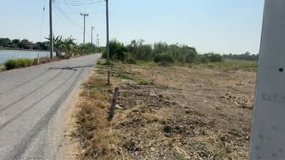 ขาย - ที่ดินบางแก้ว ฉะเชิงเทรา, ฉะเชิงเทรา