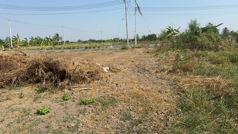 ที่ดินบางแก้ว ฉะเชิงเทรา, Chachoengsao, Bang Kaeo, Muang Chachoengsao, Chachoengsao, , 752 sqm, Land For Sale, by The Best Property ลี, 500267968 - DDproperty.com