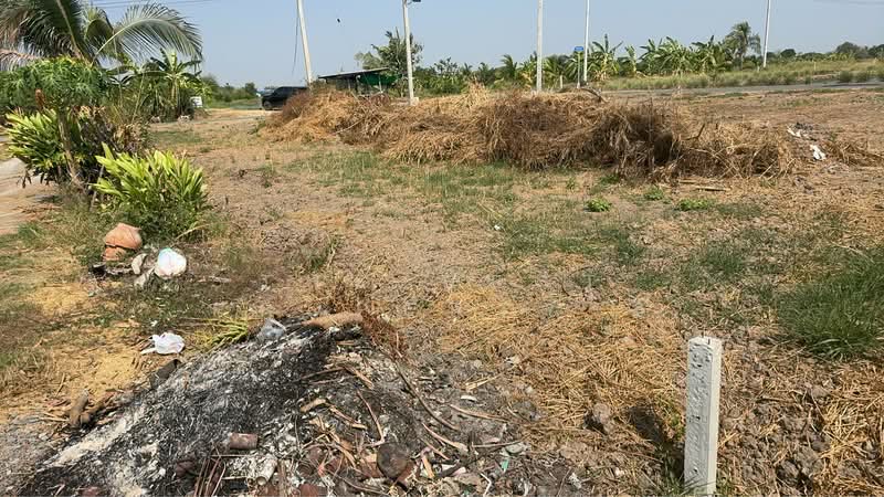 ที่ดินบางแก้ว ฉะเชิงเทรา, Chachoengsao, Bang Kaeo, Muang Chachoengsao, Chachoengsao, , 752 sqm, Land For Sale, by The Best Property ลี, 500267968 - DDproperty.com